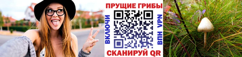 KRAKEN ТОР  Набережные Челны  Псилоцибиновые грибы MAGIC MUSHROOMS 